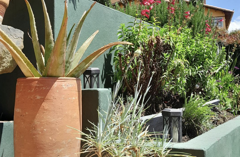 Fresh Beginnings: Spring Updates for Fashion, Outdoor Spaces & Tech